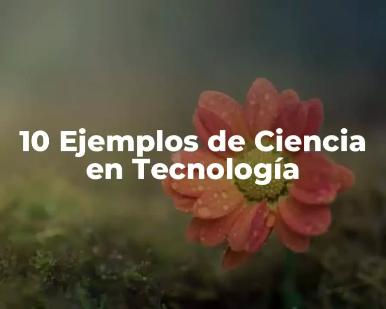 10 Ejemplos de Ciencia en Tecnología