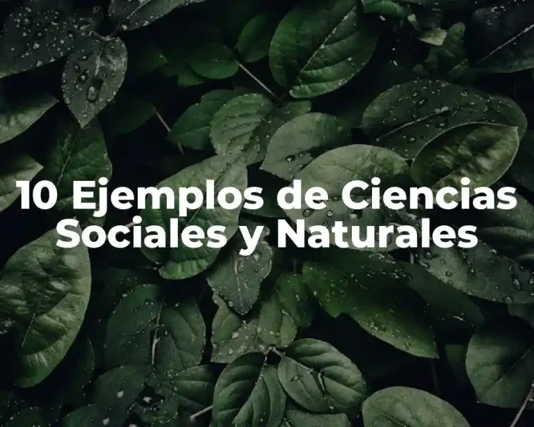 10 Ejemplos de Ciencias Sociales y Naturales