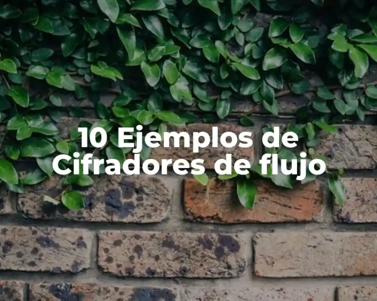10 Ejemplos de Cifradores de flujo
