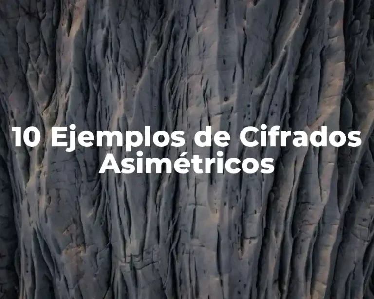 10 Ejemplos de Cifrados Asimétricos