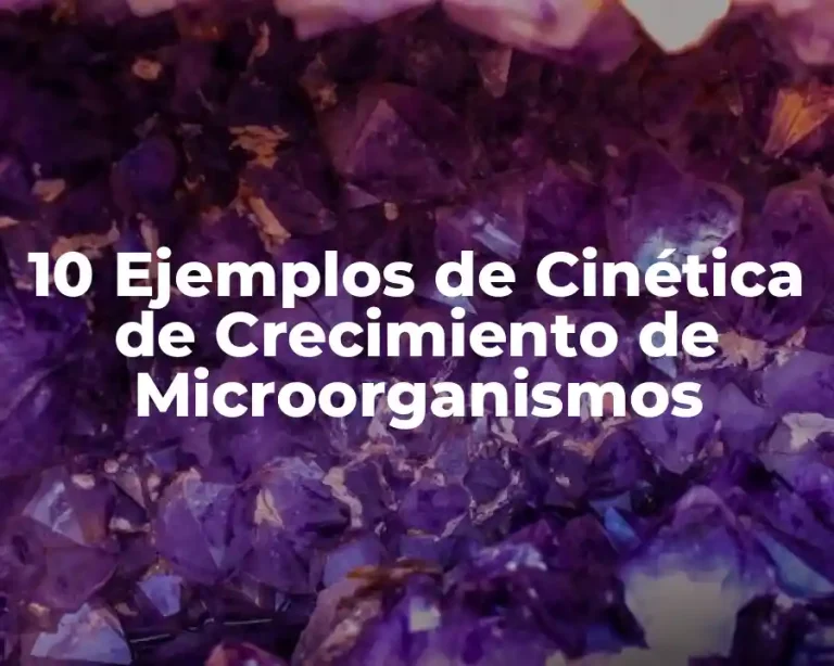 10 Ejemplos de Cinética de Crecimiento de Microorganismos