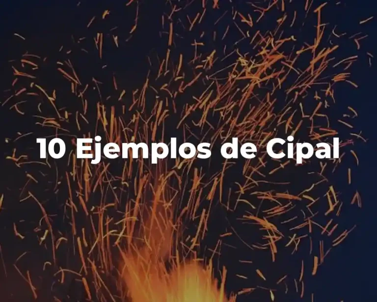 10 Ejemplos de Cipal