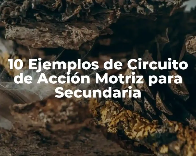 10 Ejemplos de Circuito de Acción Motriz para Secundaria
