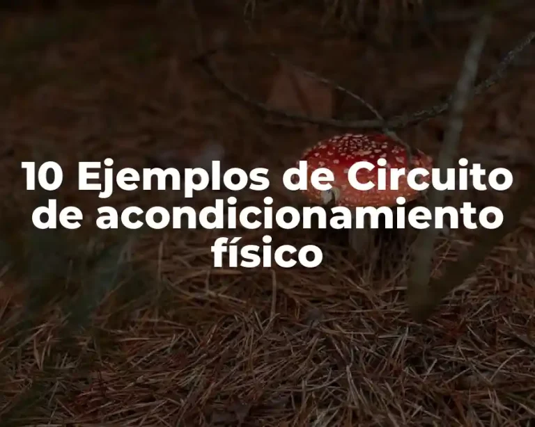 10 Ejemplos de Circuito de acondicionamiento físico
