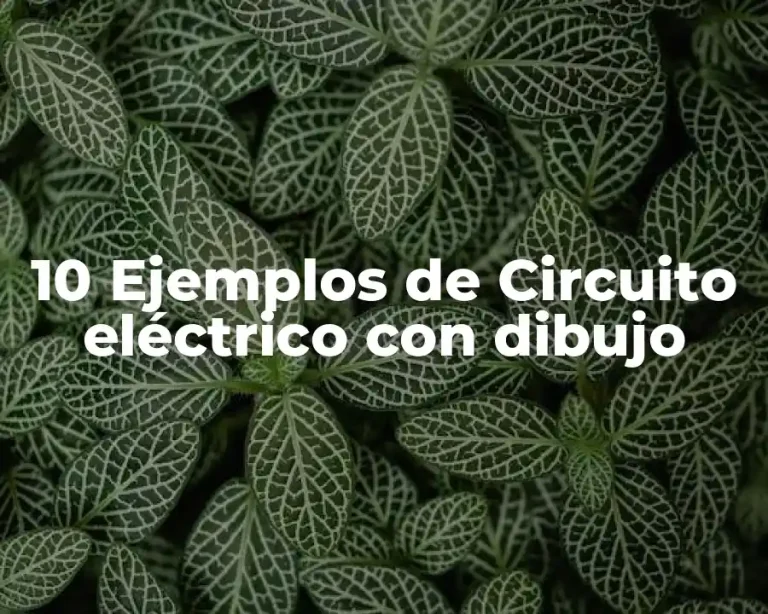 10 Ejemplos de Circuito eléctrico con dibujo
