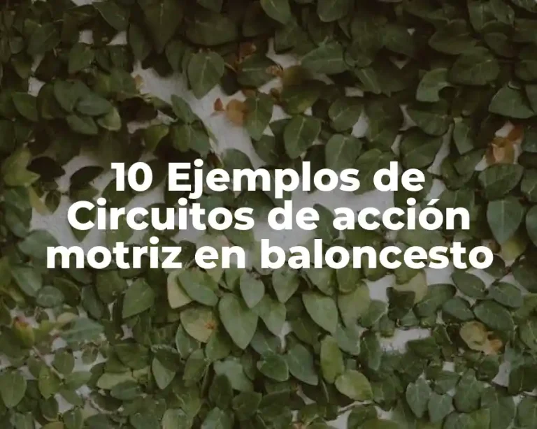 10 Ejemplos de Circuitos de acción motriz en baloncesto
