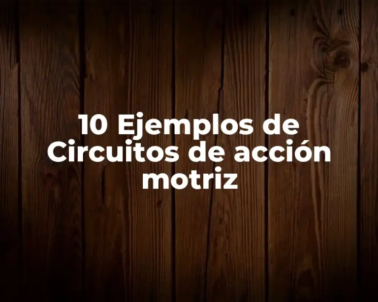 10 Ejemplos de Circuitos de acción motriz