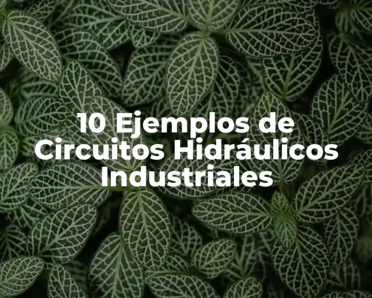 10 Ejemplos de Circuitos Hidráulicos Industriales