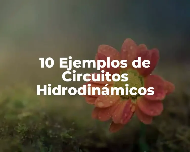 10 Ejemplos de Circuitos Hidrodinámicos