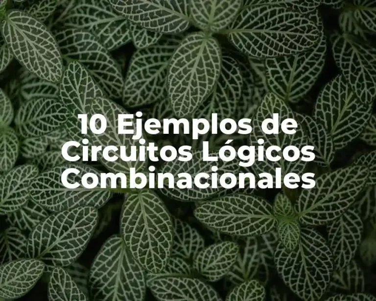 10 Ejemplos de Circuitos Lógicos Combinacionales