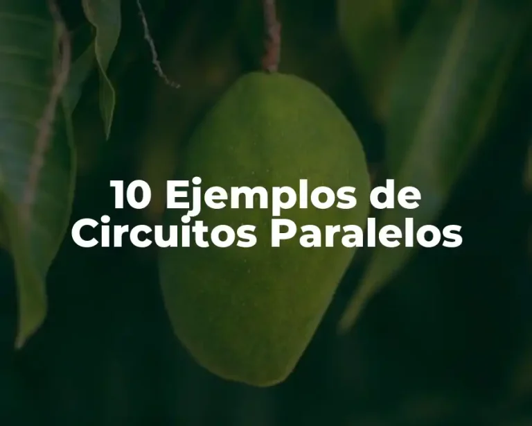 10 Ejemplos de Circuitos Paralelos