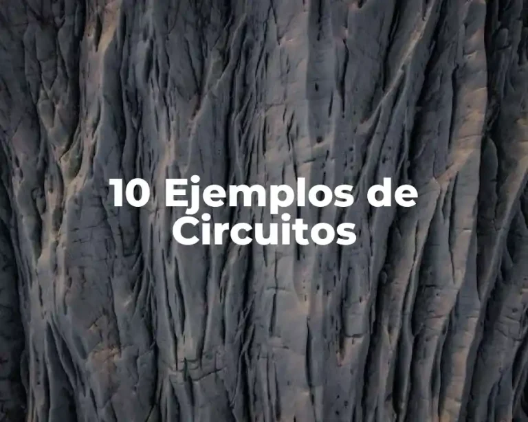 10 Ejemplos de Circuitos