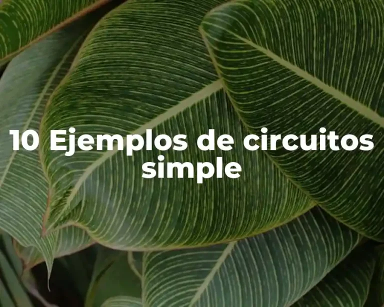 10 Ejemplos de circuitos simple