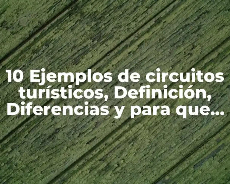10 Ejemplos de circuitos turísticos, Definición, Diferencias y para que sirve
