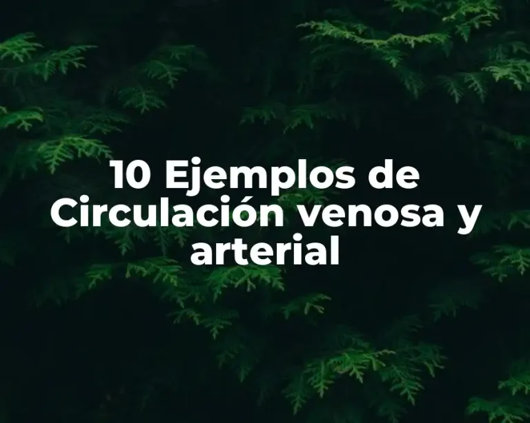 10 Ejemplos de Circulación venosa y arterial