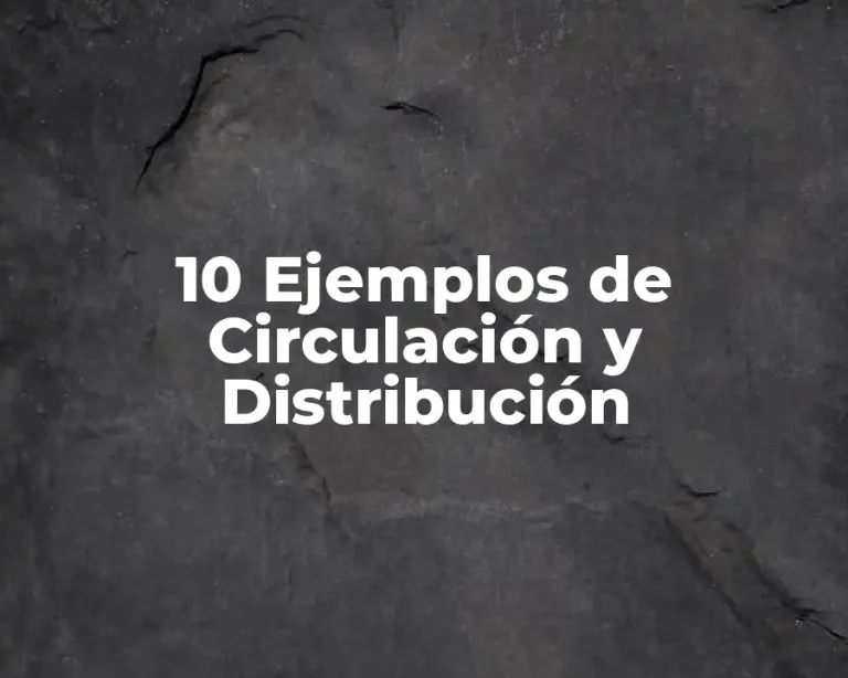 10 Ejemplos de Circulación y Distribución