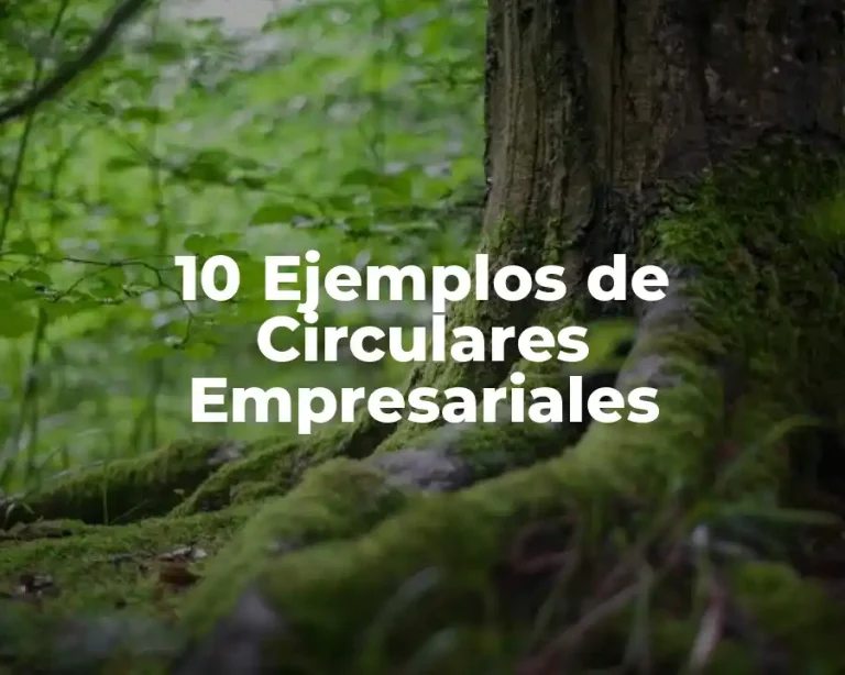 10 Ejemplos de Circulares Empresariales