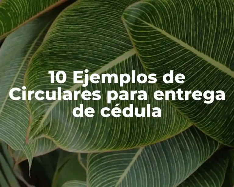 10 Ejemplos de Circulares para entrega de cédula