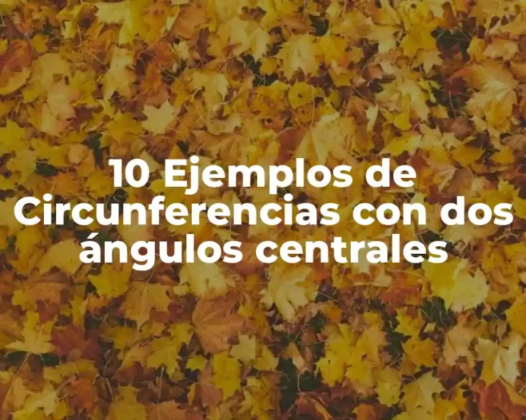 10 Ejemplos de Circunferencias con dos ángulos centrales
