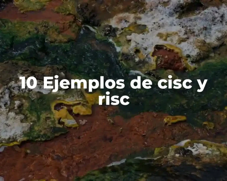 10 Ejemplos de cisc y risc