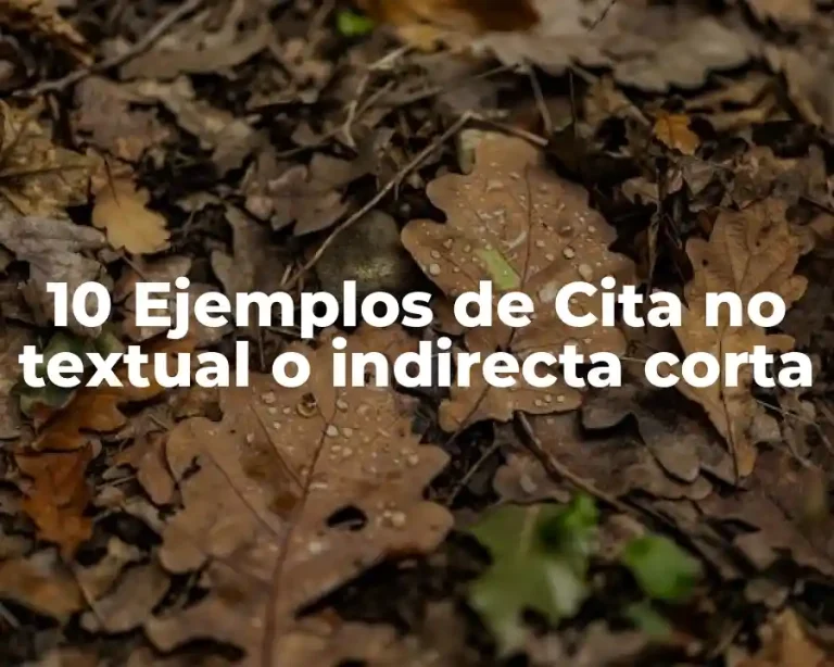 10 Ejemplos de Cita no textual o indirecta corta