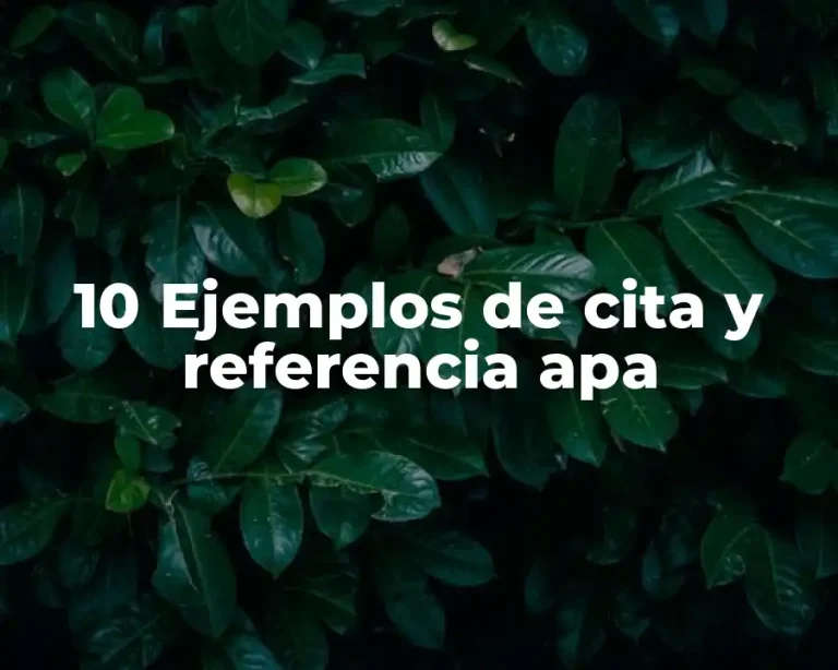 10 Ejemplos de cita y referencia apa
