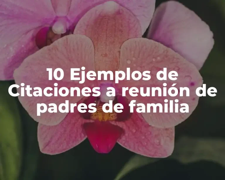 10 Ejemplos de Citaciones a reunión de padres de familia