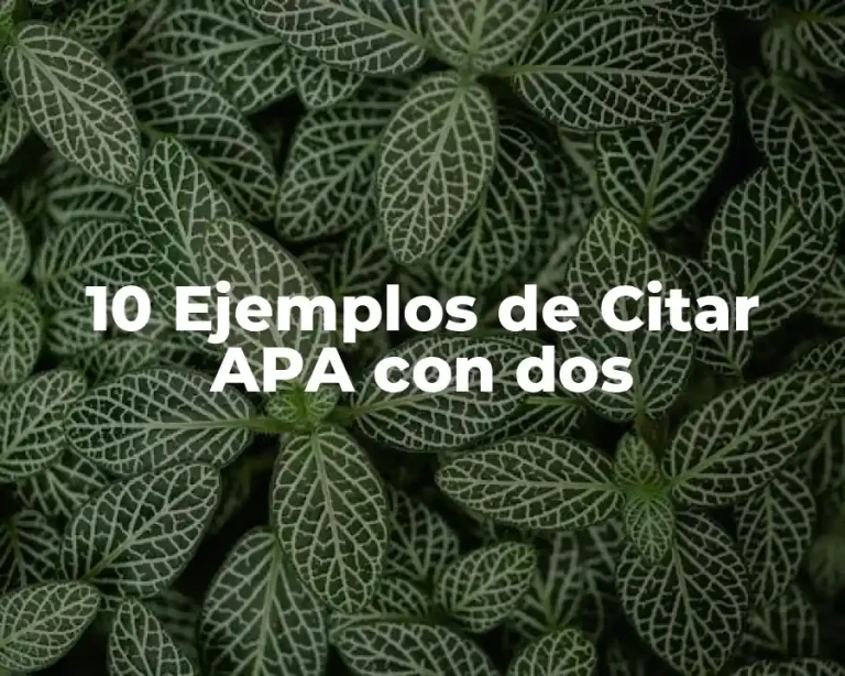 10 Ejemplos de Citar APA con dos