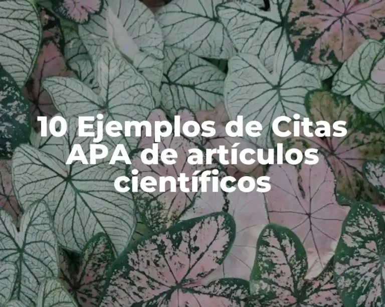10 Ejemplos de Citas APA de artículos científicos
