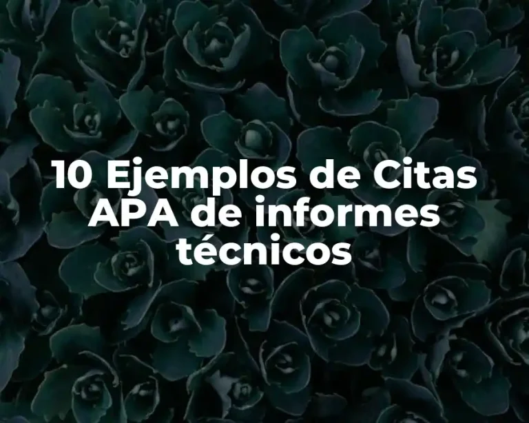 10 Ejemplos de Citas APA de informes técnicos