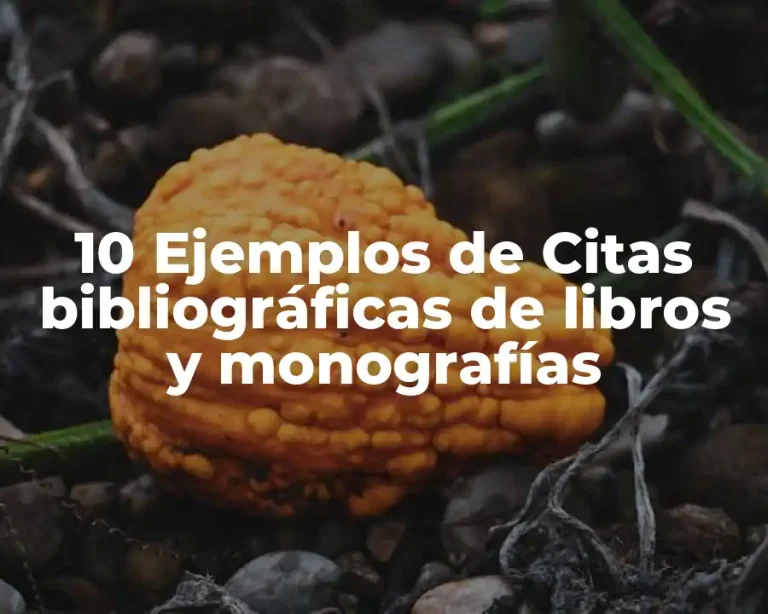 10 Ejemplos de Citas bibliográficas de libros y monografías
