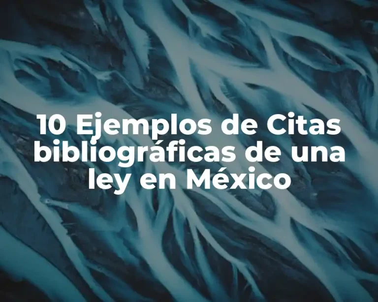 10 Ejemplos de Citas bibliográficas de una ley en México