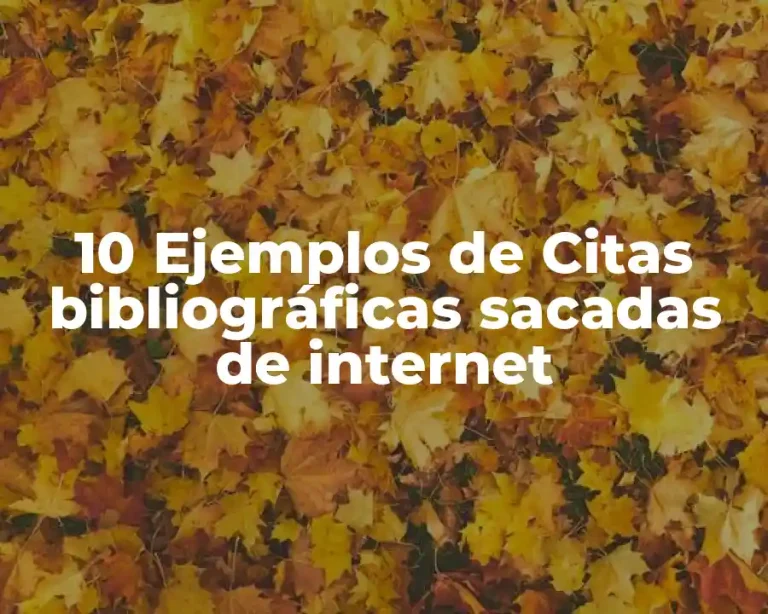 10 Ejemplos de Citas bibliográficas sacadas de internet