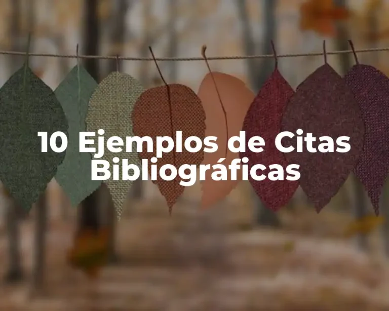 10 Ejemplos de Citas Bibliográficas