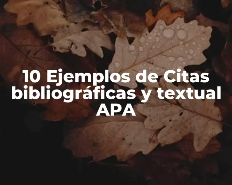 10 Ejemplos de Citas bibliográficas y textual APA