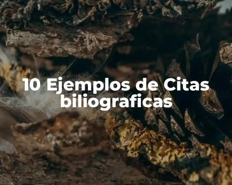 10 Ejemplos de Citas biliograficas