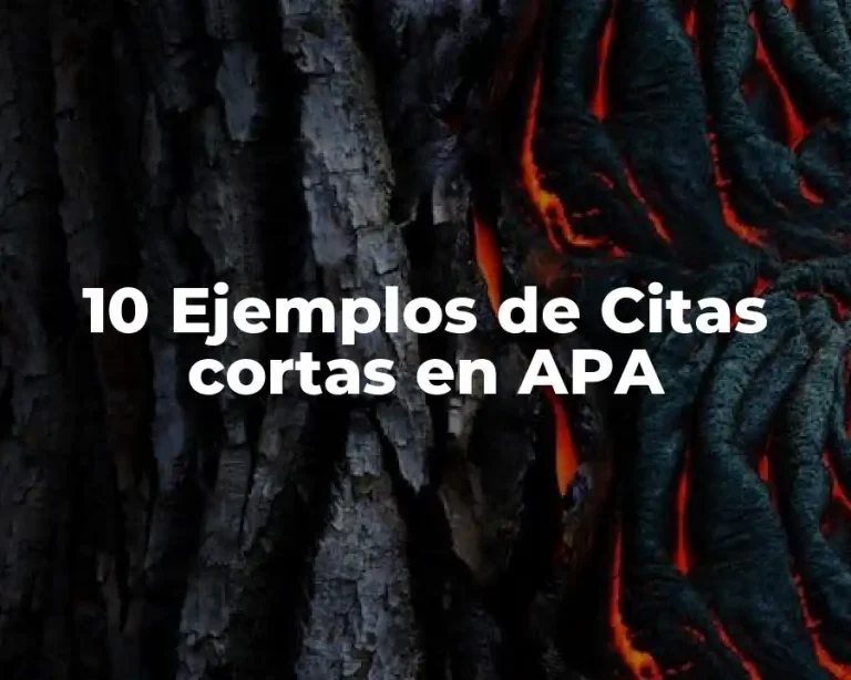10 Ejemplos de Citas cortas en APA