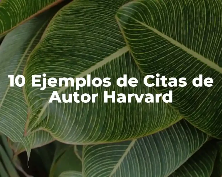 10 Ejemplos de Citas de Autor Harvard