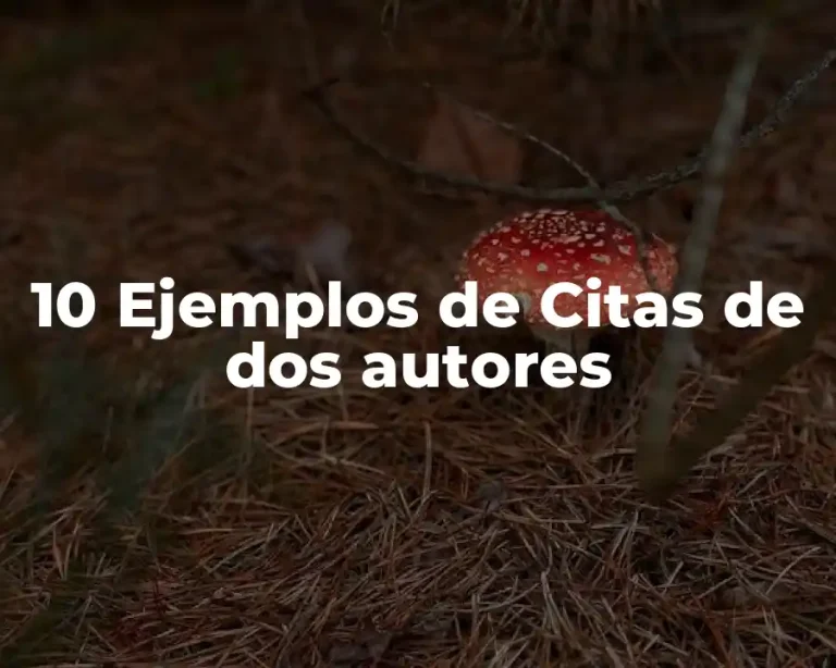 10 Ejemplos de Citas de dos autores
