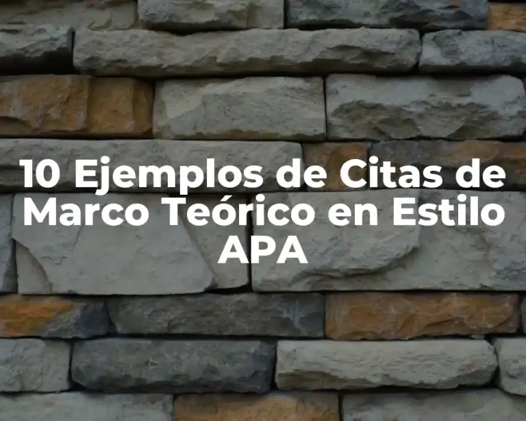 10 Ejemplos de Citas de Marco Teórico en Estilo APA
