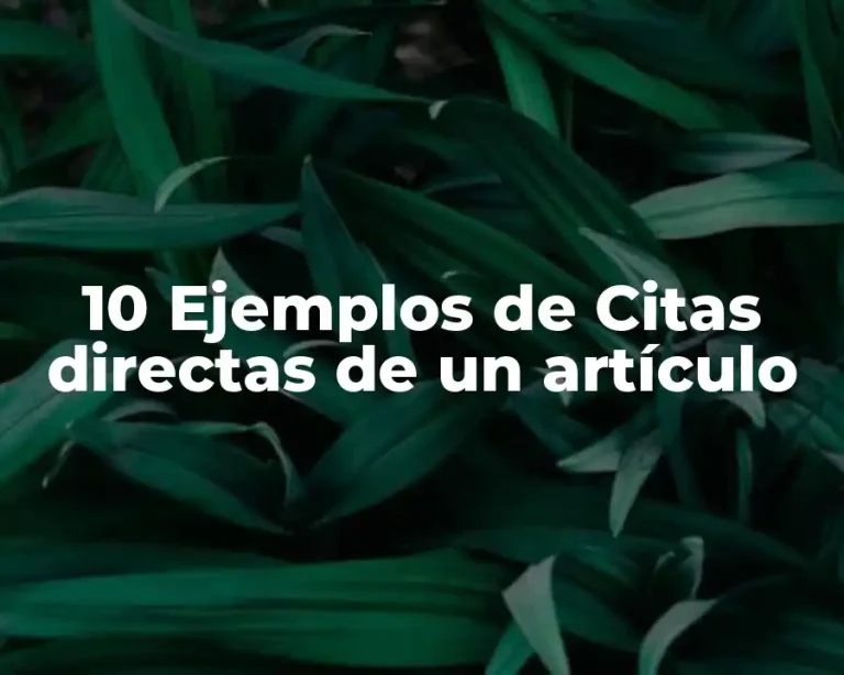 10 Ejemplos de Citas directas de un artículo