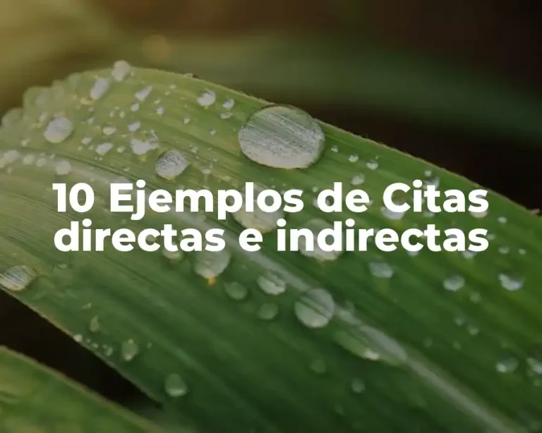 10 Ejemplos de Citas directas e indirectas