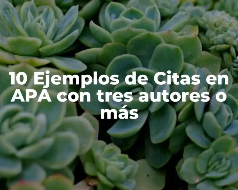 10 Ejemplos de Citas en APA con tres autores o más