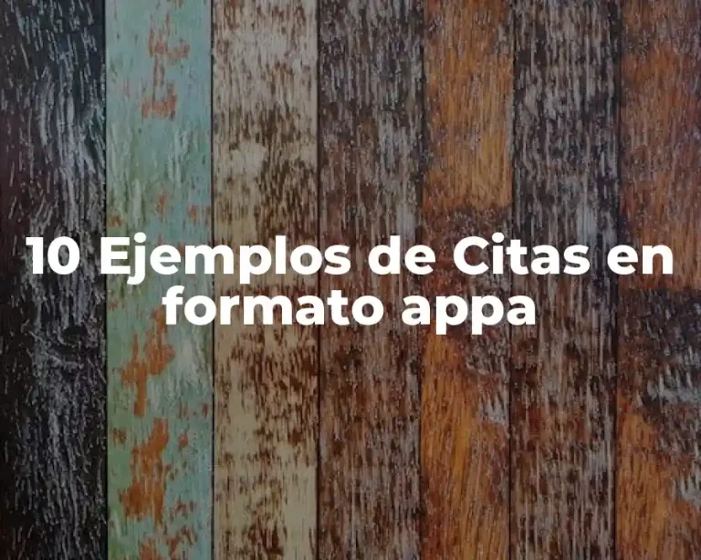 10 Ejemplos de Citas en formato appa