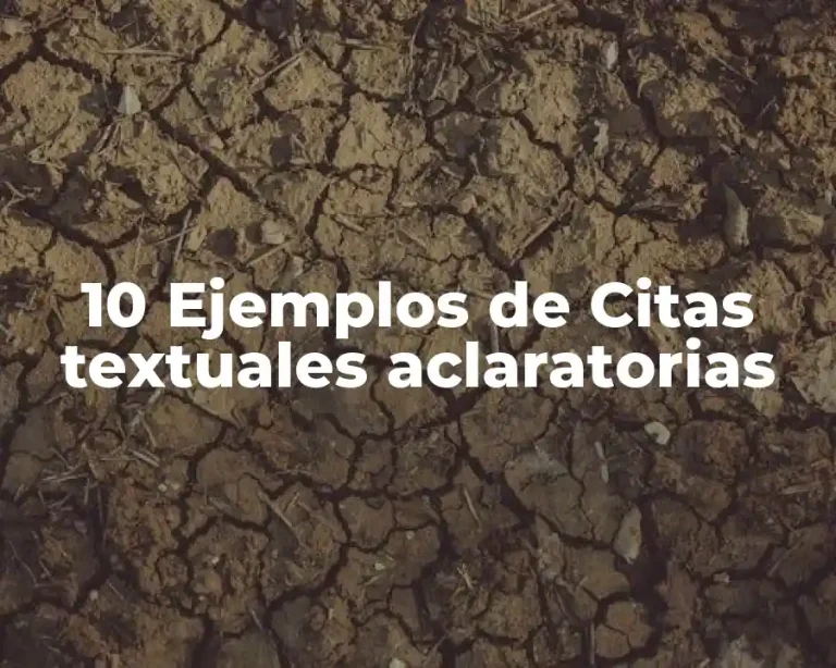 10 Ejemplos de Citas textuales aclaratorias