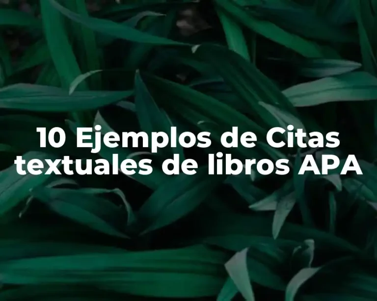 10 Ejemplos de Citas textuales de libros APA