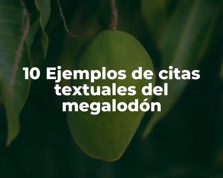 10 Ejemplos de citas textuales del megalodón