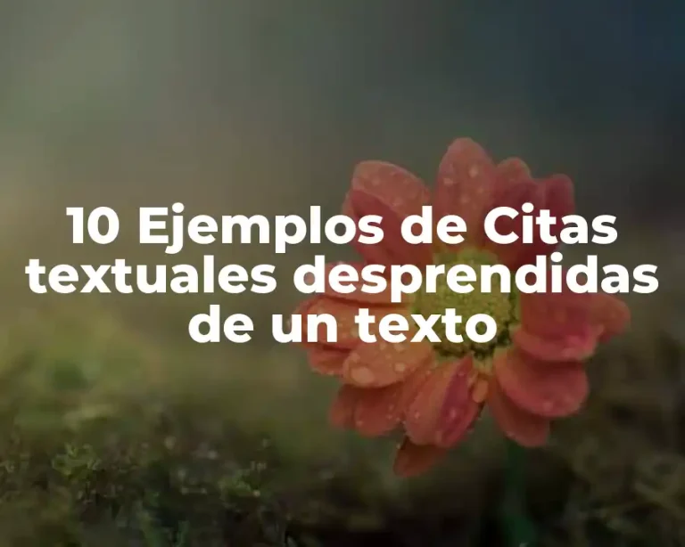 10 Ejemplos de Citas textuales desprendidas de un texto