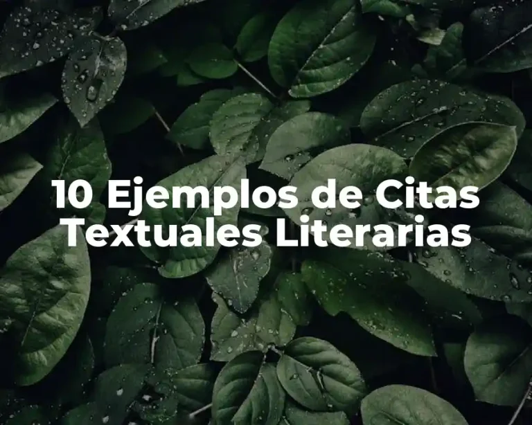 10 Ejemplos de Citas Textuales Literarias