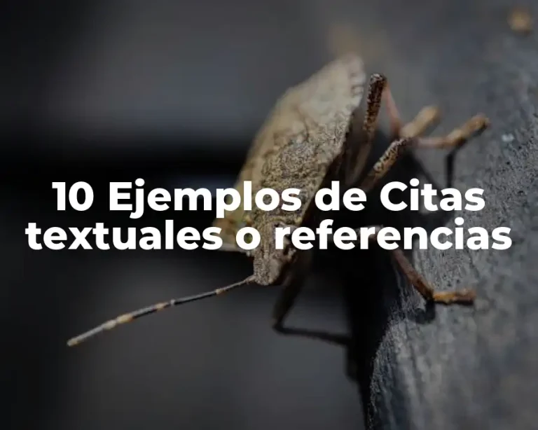 10 Ejemplos de Citas textuales o referencias